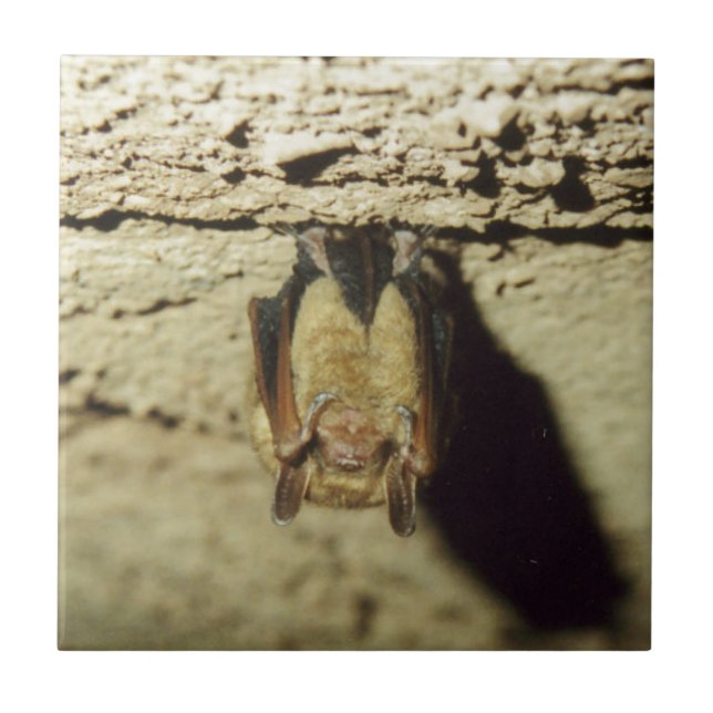 Bat Tile (Front)