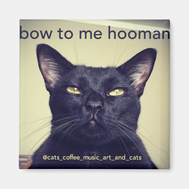 Batcat: Bow to me hooman Magnet (Front)
