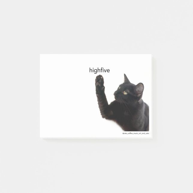 Batcat: High 5 notes (Front)
