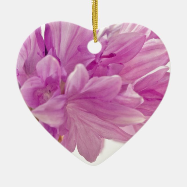 Batchelor Button Ceramic Ornament (Front)