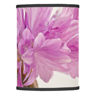 Batchelor Button Lamp Shade