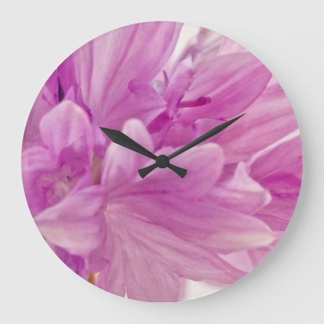 Batchelor Button Large Clock (Front)