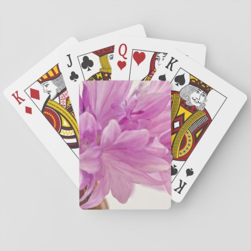 Batchelor Button Playing Cards