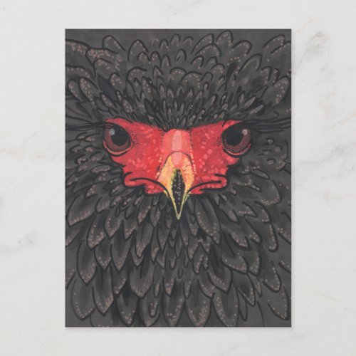 Bateleur Eagle African Bird Portrait Paper Collage Postcard