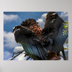 BATELEUR EAGLE SKY COMMANDER POSTER