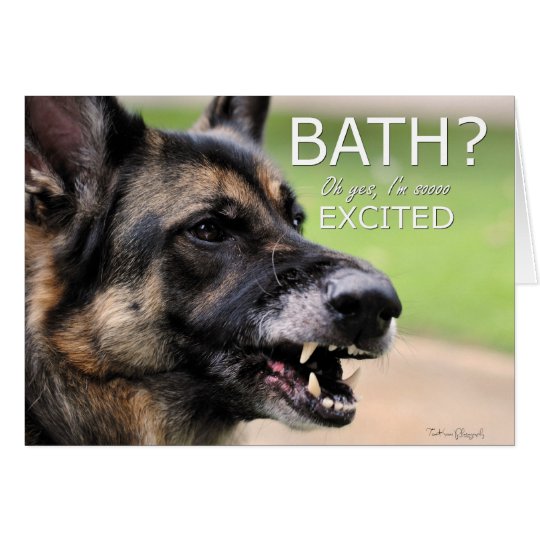 BATH: German Shepherd Dog Greeting Card