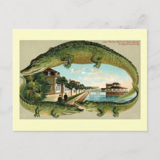 Bath House, St. Augustine, Florida Vintage Postcard