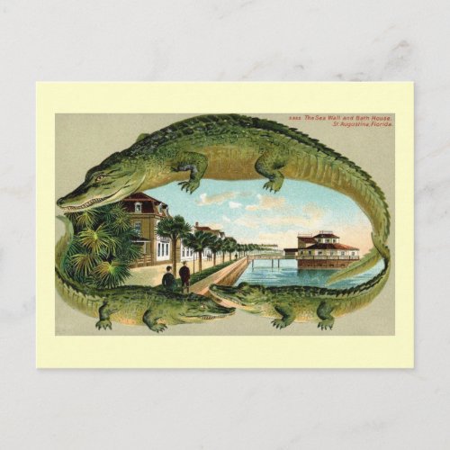 Bath House St Augustine Florida Vintage Postcard