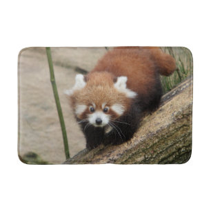 Bath Mat Photo red panda , animals 0127.
