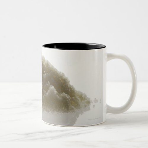 Bath Salt Two_Tone Coffee Mug