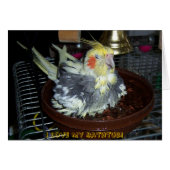 Bath Time (Front Horizontal)