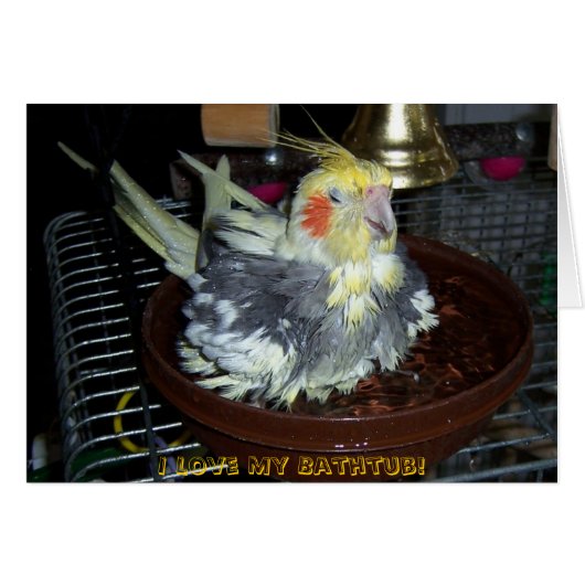 Bath Time Cards (Front Horizontal)