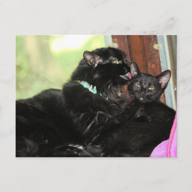 Bath time  holiday postcard (Front)