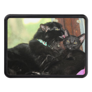 Bath time l hitch cover