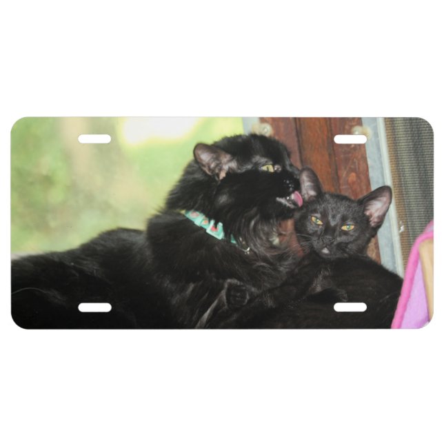 Bath time license plate (Front)