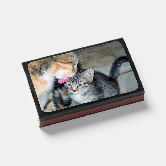 Bath time matchboxes (Front Closed)