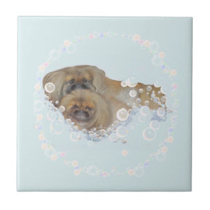 Bath Time Pekingese Duo Tile