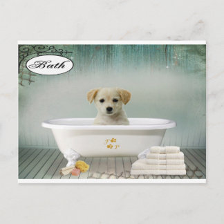 Bath time puppy postcard