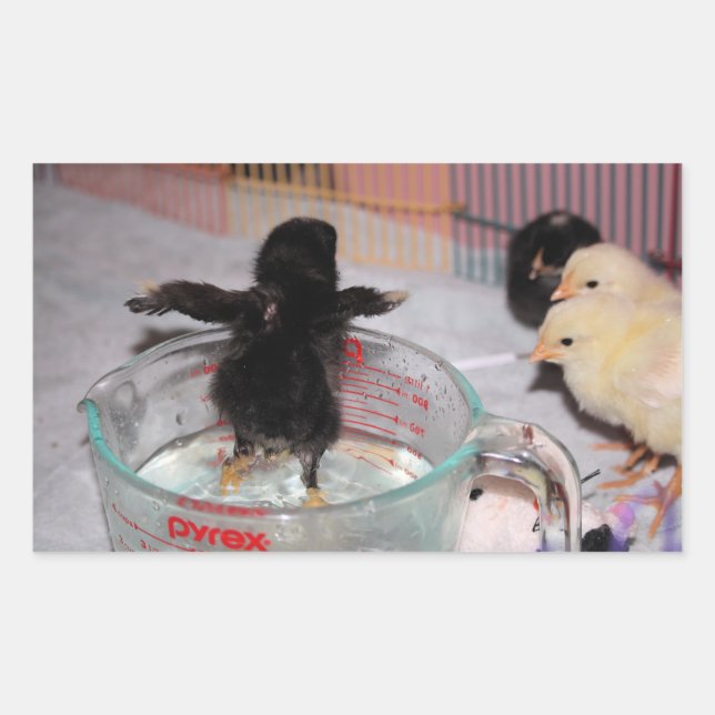 Bath time rectangular sticker (Front)
