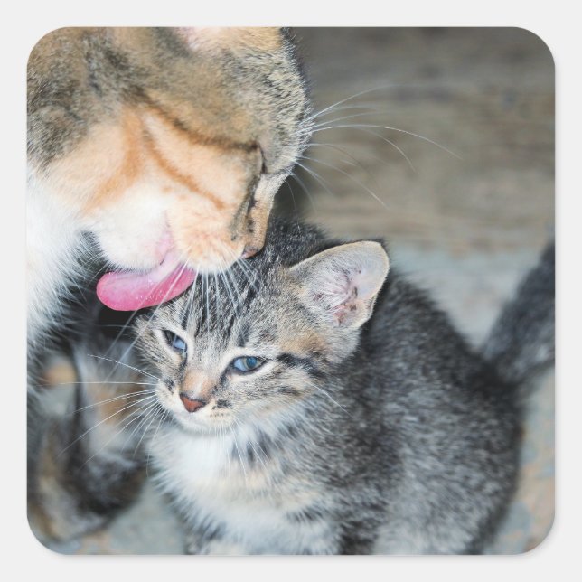 Bath time square sticker (Front)