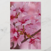 Bathed in Pink Japanese Cherry Blossoms (Front)