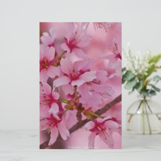 Bathed in Pink Japanese Cherry Blossoms (Standing Front)