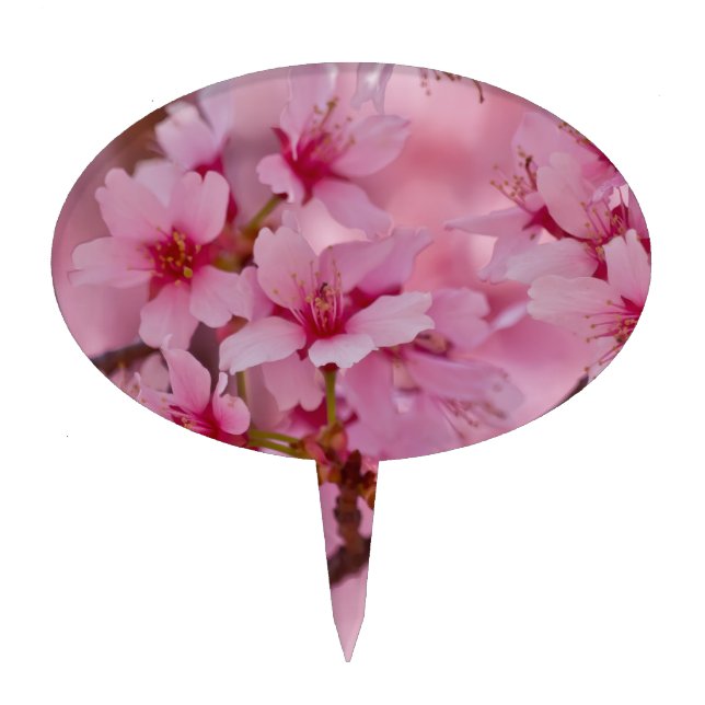 Bathed in Pink Japanese Cherry Blossoms Cake Topper (Front)