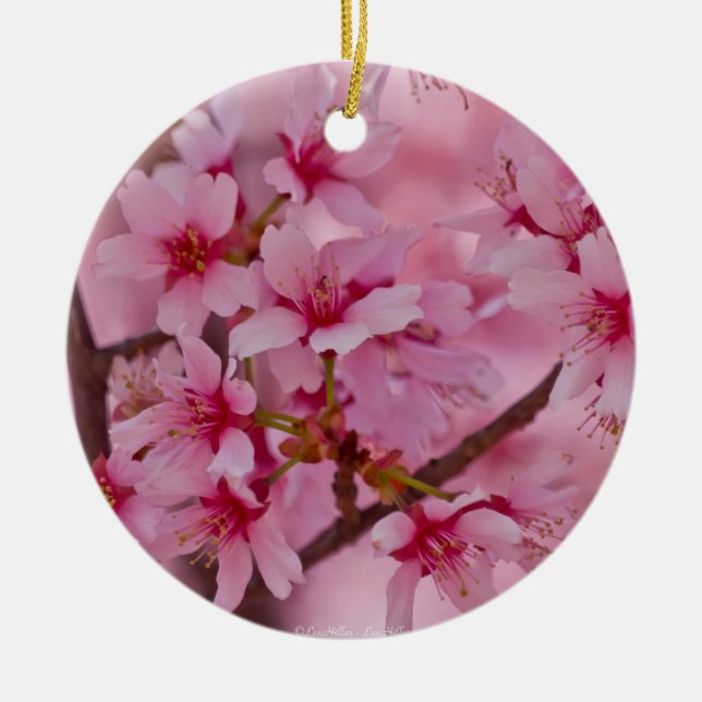 Bathed in Pink Japanese Cherry Blossoms Ceramic Ornament (Front)
