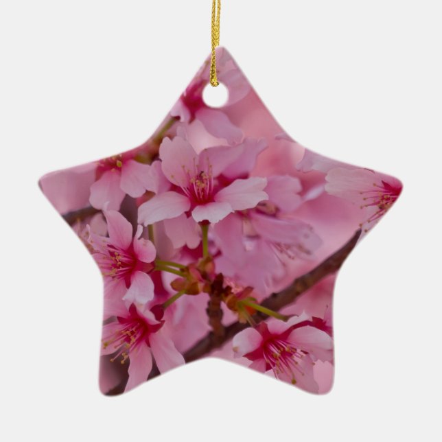 Bathed in Pink Japanese Cherry Blossoms Ceramic Ornament (Front)