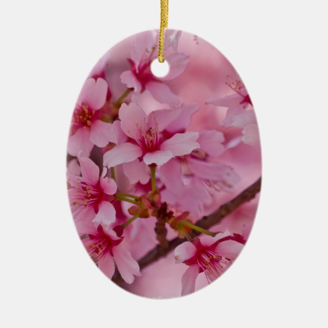 Bathed in Pink Japanese Cherry Blossoms Ceramic Ornament (Front)