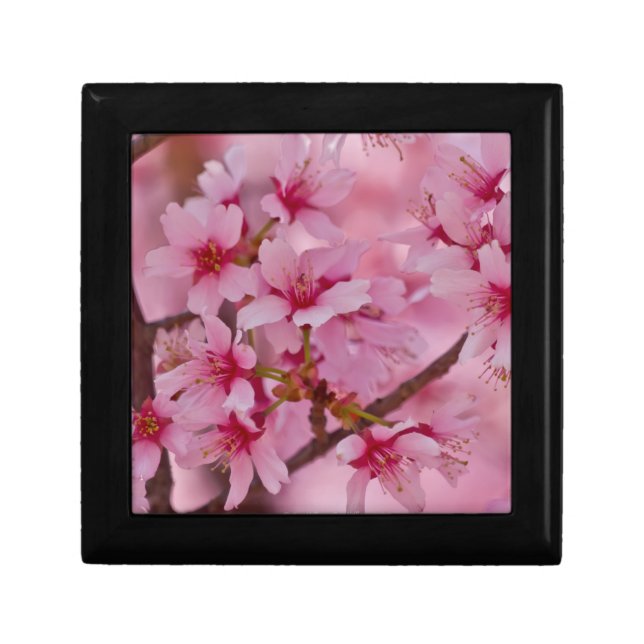 Bathed in Pink Japanese Cherry Blossoms Keepsake Box (Front)