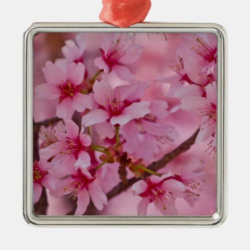 Bathed in Pink Japanese Cherry Blossoms Metal Ornament
