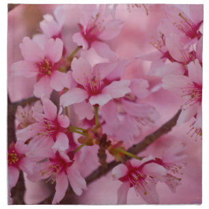Bathed in Pink Japanese Cherry Blossoms Napkin