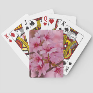 Bathed in Pink Japanese Cherry Blossoms Poker Cards