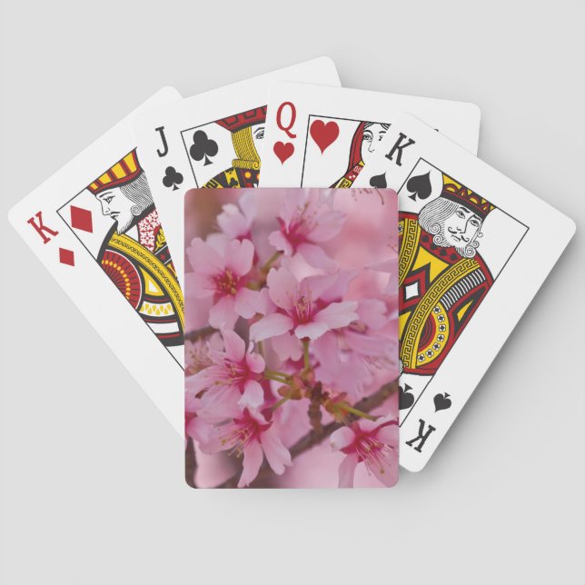Bathed in Pink Japanese Cherry Blossoms Poker Cards (Back)