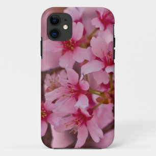 Bathed in Pink Japanese Cherry Blossoms Sakura iPhone 11 Case