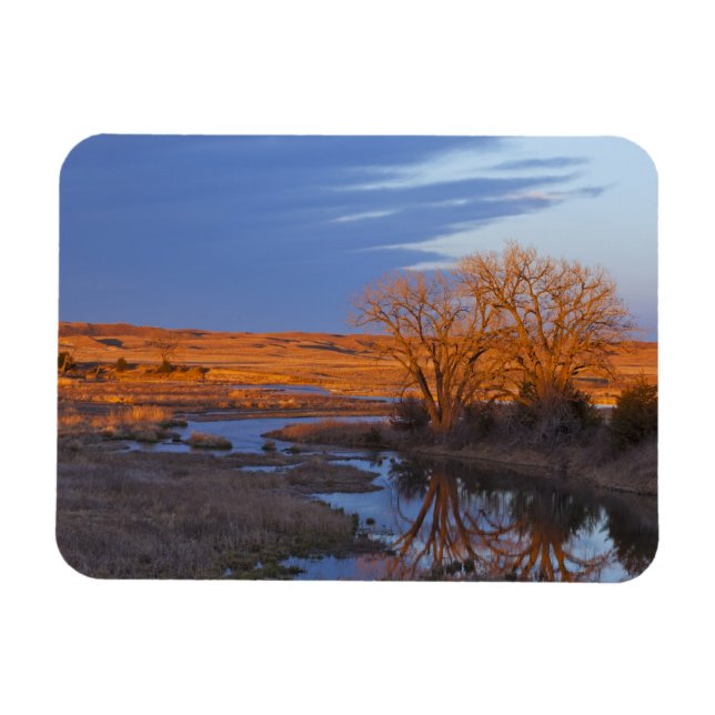 Bathed in sunset light the Calamus River Magnet (Horizontal)