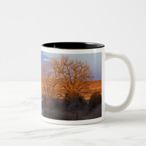 Bathed in sunset light the Calamus River Two_Tone Coffee Mug