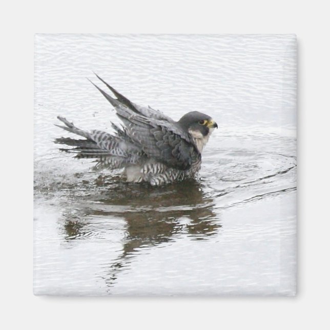 Bathing Beauty Magnet (Front)