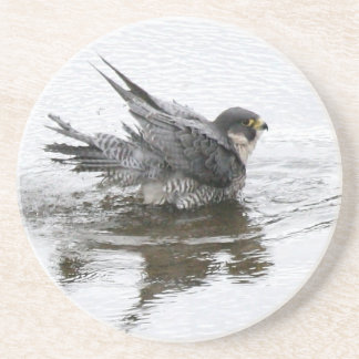 Bathing Beauty Sandstone Drink Coasters