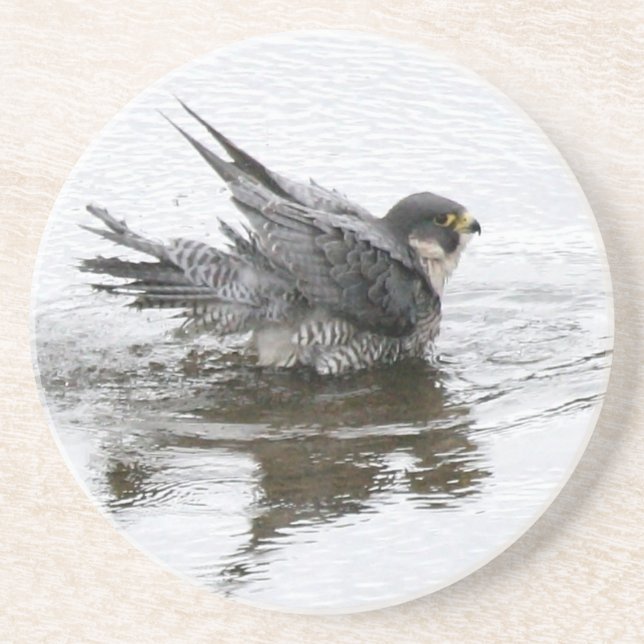 Bathing Beauty Sandstone Drink Coasters (Front)