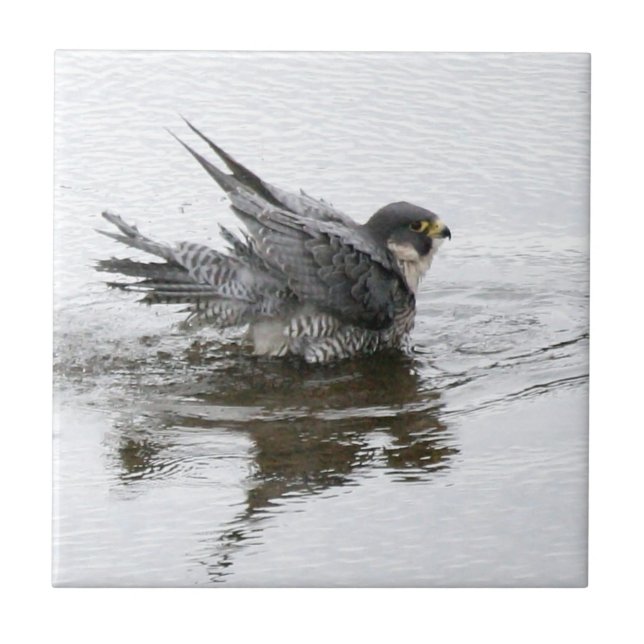 Bathing Beauty small Ceramic Tile (Front)