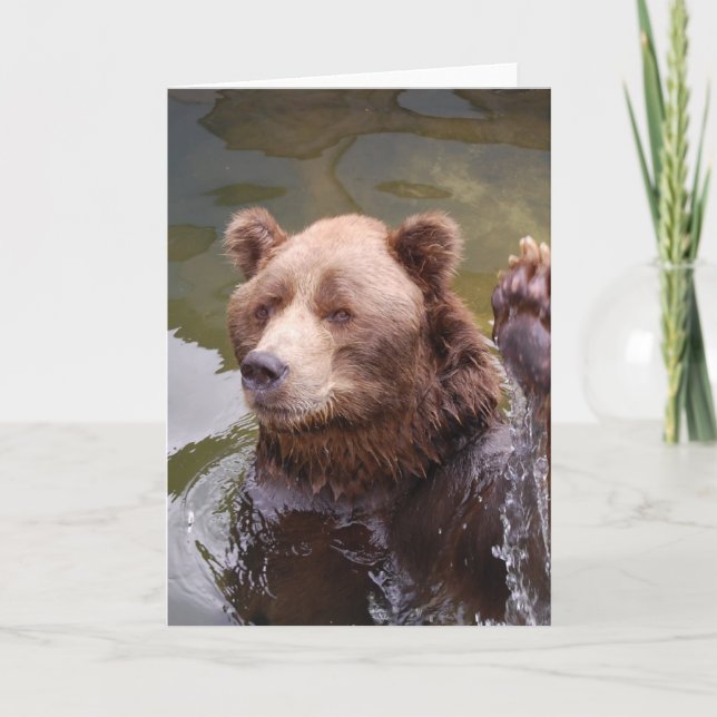Bathing Brown Bear  Note Card (Front)