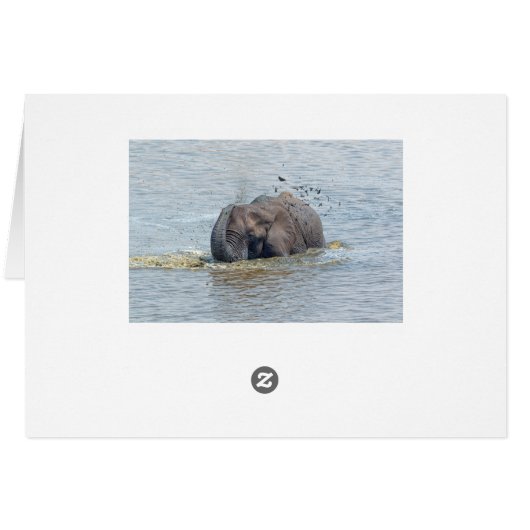 Bathing elephant (Back Horizontal)