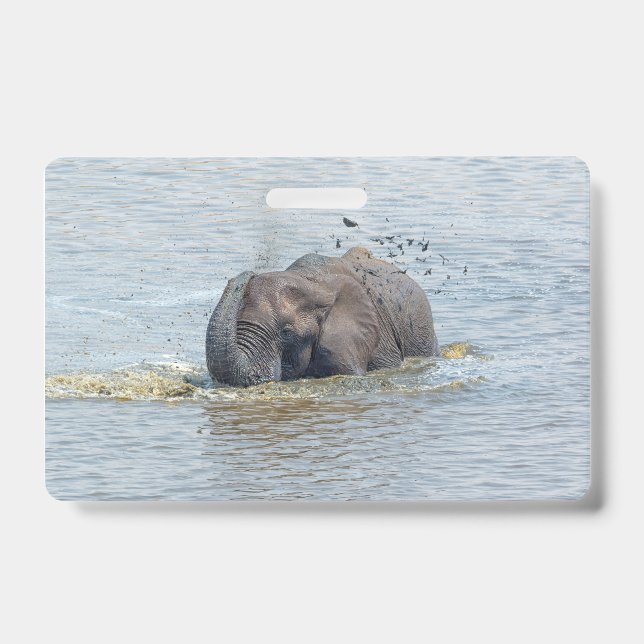 Bathing elephant badge (Front)
