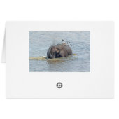 Bathing elephant cards (Back Horizontal)