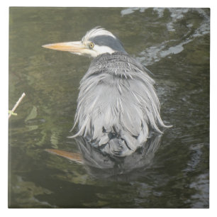 Bathing Grey Heron Ceramic Tile