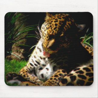 Bathing Leopard Mouse Pad