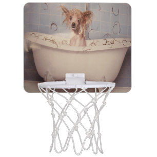 BATHING PUPPY MINI BASKETBALL HOOP