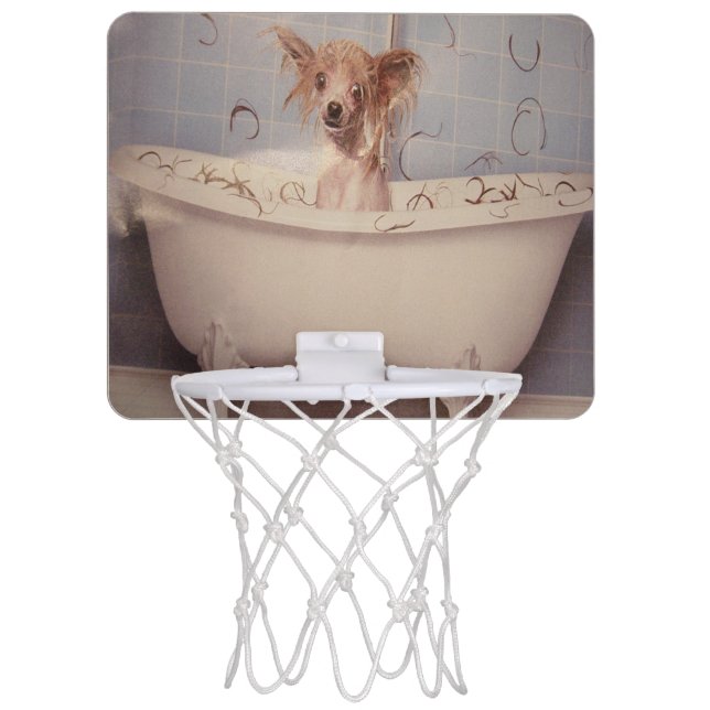 BATHING PUPPY MINI BASKETBALL HOOP (Front)